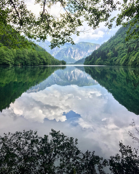 reflection of a natural lake with surrounding trees 