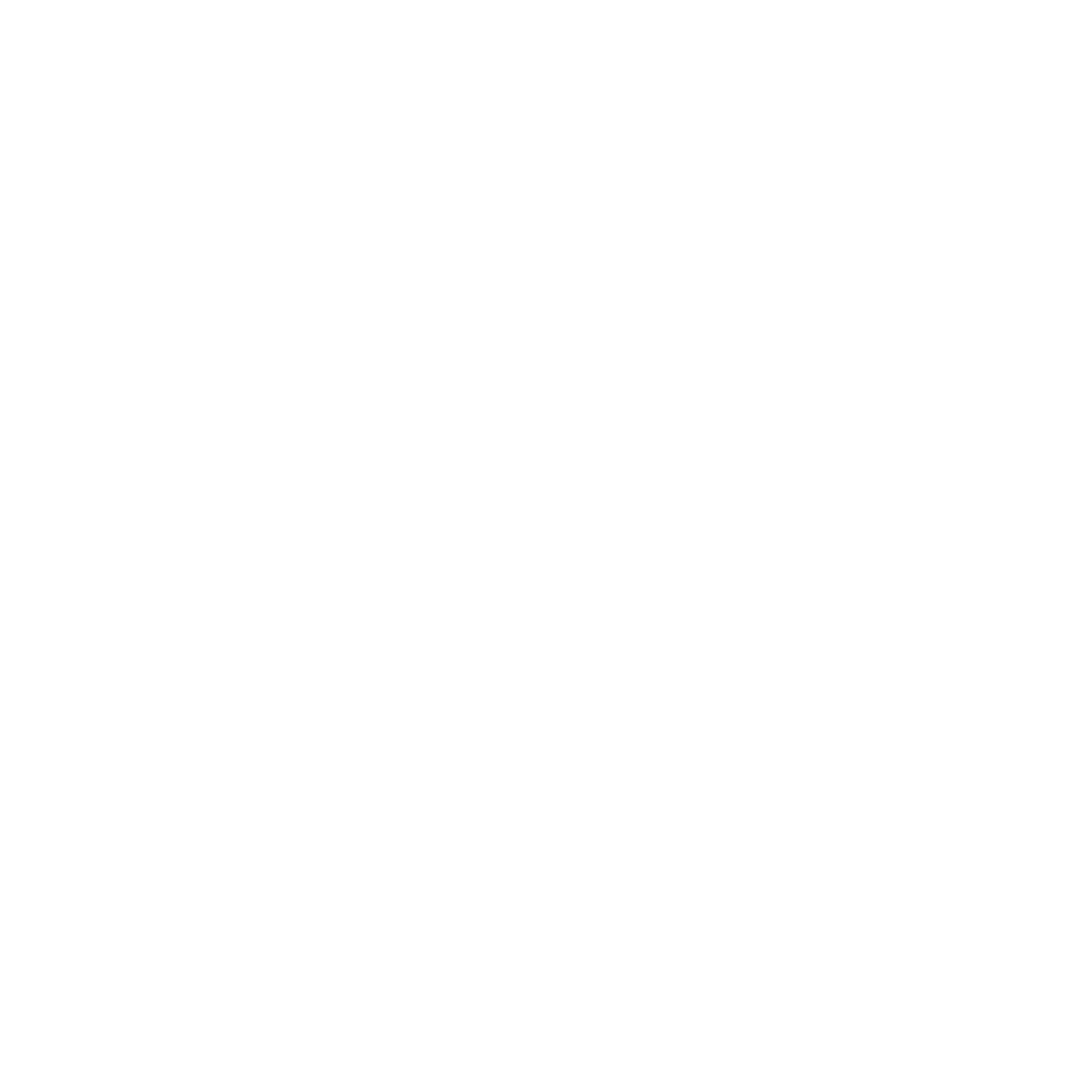 fluxies logo white